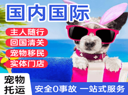 富蕴可可托海空运代理国际宠物托运 【国